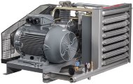 Поршневой компрессор DALGAKIRAN W166